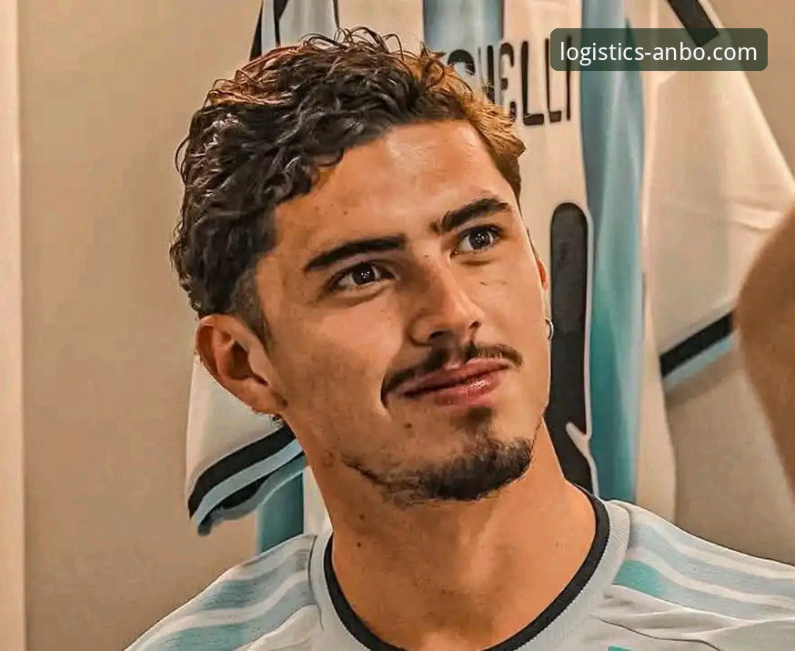 帕尼切利伤退世界杯：一次战术损失与供应链脆弱性的深度分析